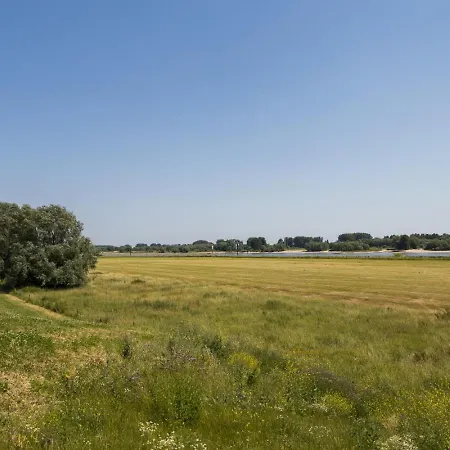 Ferienhaus Cube Xl 105 I 6-persoons In Zennewijnen